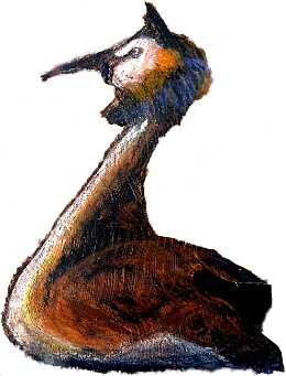 Lagoon 5 – Haubentaucher